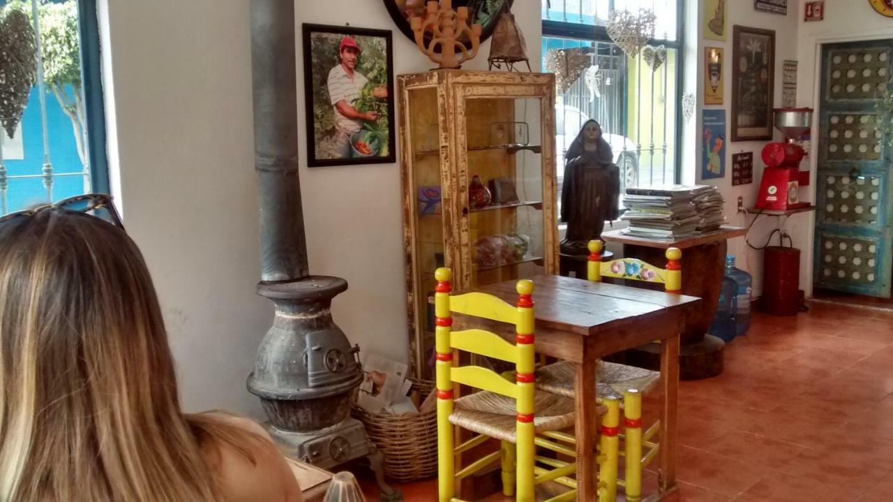 Hostal El Cascabel Чолула Екстер'єр фото
