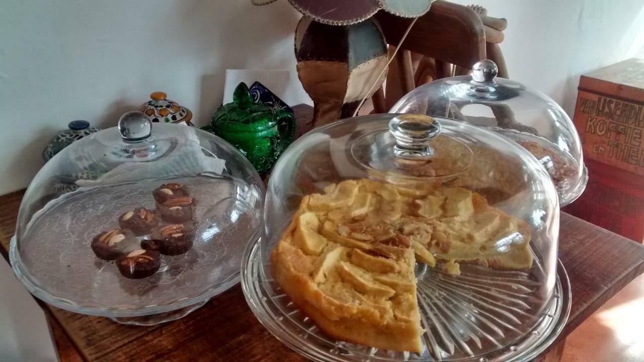 Hostal El Cascabel Чолула Екстер'єр фото