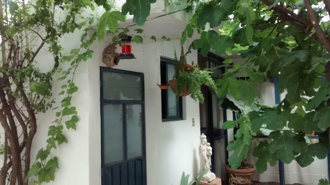 Hostal El Cascabel Чолула Екстер'єр фото
