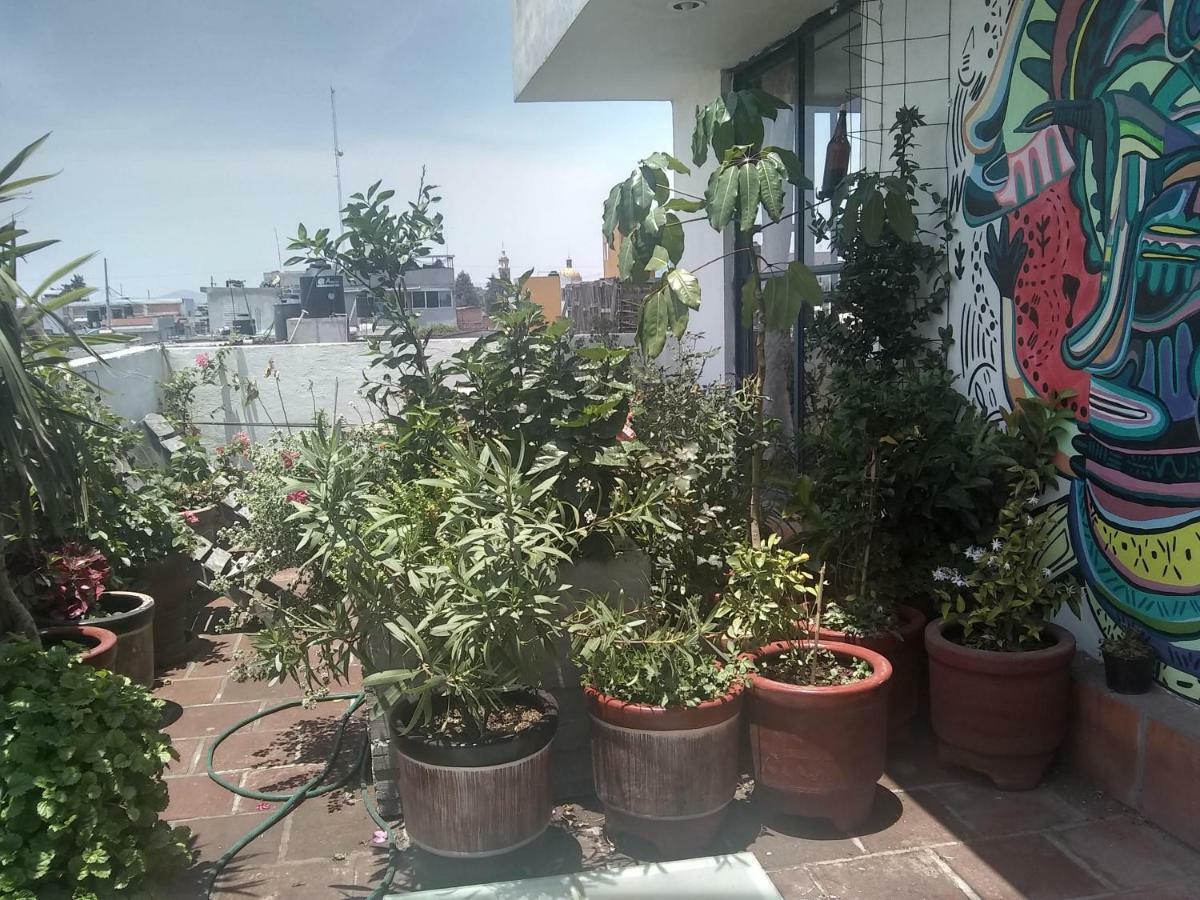 Hostal El Cascabel Чолула Екстер'єр фото