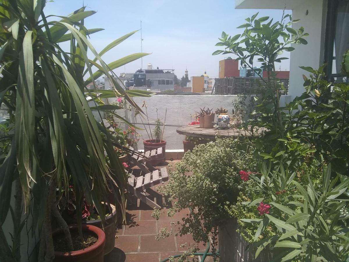 Hostal El Cascabel Чолула Екстер'єр фото